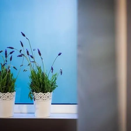 Sea Front Apartment *