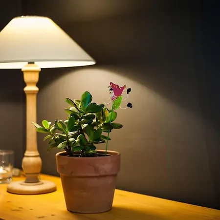 Sea Front Apartman *